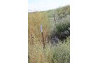 Property photo 116 - LAND AUCTION, 3255+/- Acres offered in 13 Tracts
